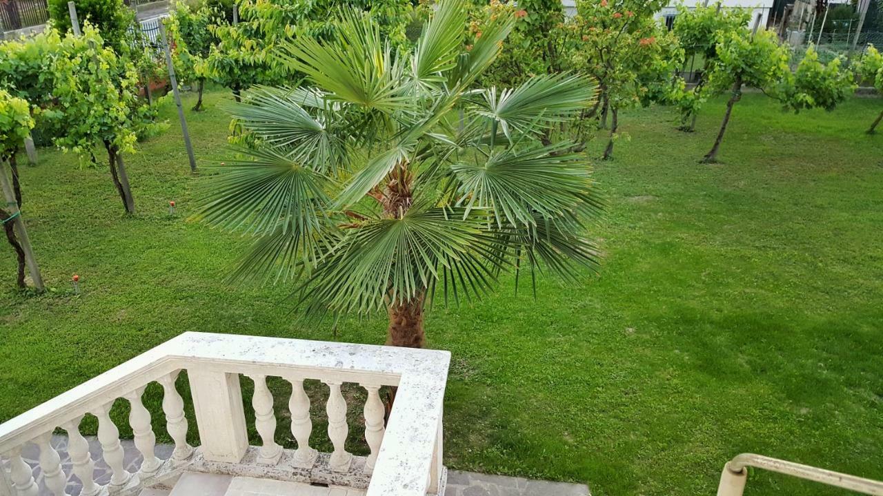 Casa Del Vigneto - New Near Venice - Rooms+Bathroom - Independent Spinea Bagian luar foto
